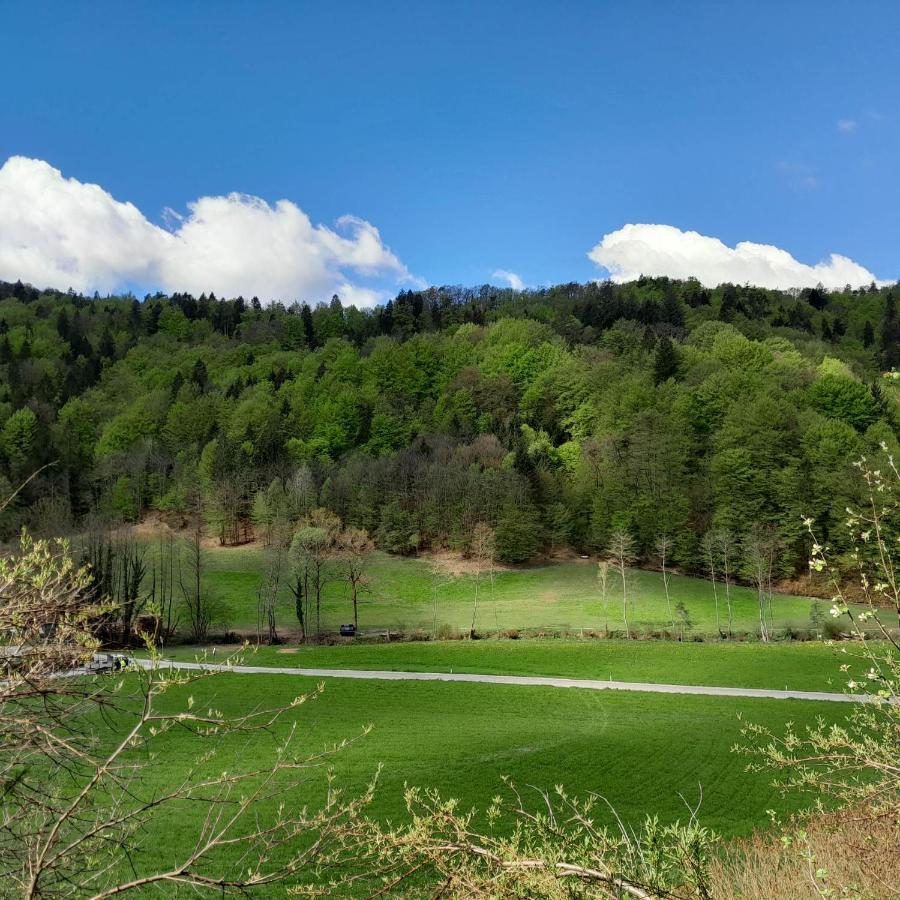 Nice Apartment Near By Capital Of Slovenia Ljubljana Luaran gambar