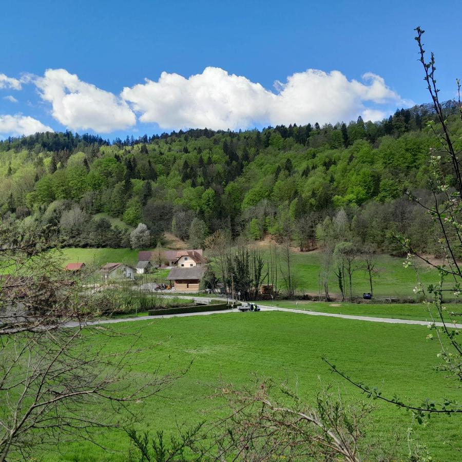 Nice Apartment Near By Capital Of Slovenia Ljubljana Luaran gambar